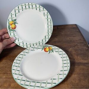Citation Garden trellis 2 salad desert plates dinnerware